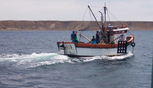 Actividades extractivas del recurso tiburón martillo terminarán cuando se alcance o se estime alcanzar el límite de 440 toneladas. Foto: Andina