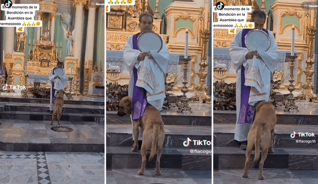 El perrito decidió ingresar y meterse debajo de la sotana del sacerdote para ‘orar’ por sus compañeros callejeros. Foto: Composición de LR/TikTok/@Flacogo16