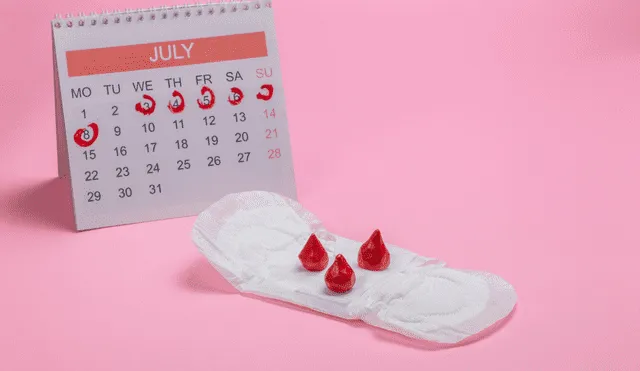 Mediante la inteligencia artificial podrás conocer tus siguientes menstruaciones. Foto: Canva