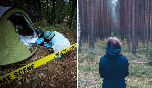 En Estados Unidos existe un vacío legal que permite realizar cualquier crimen en una zona del Parque Nacional de Yellowstone. Foto: composición LR/referencial/Freepik/PxHere