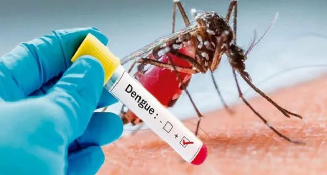 El Ministerio de Salud de Argentina alertó sobre el incremento de la cifra de contagiados por dengue y chikungunya. Foto: Composición LR.