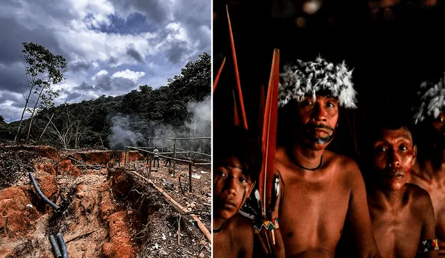 Brasil y el mundo observan las terribles imágenes que han dejado años de explotación minera ilegal en la reserva yanomami. Foto: composición LR/AFP/Victor Moriyama/ISA