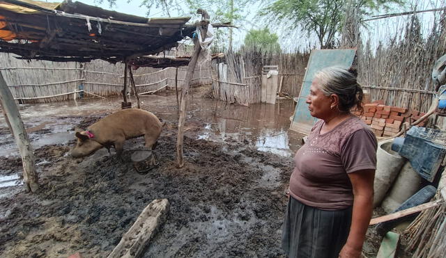 Familias necesitan apoyo para retirar agua y evitar inundaciones a sus viviendas. Foto: Almendra Ruesta/La República