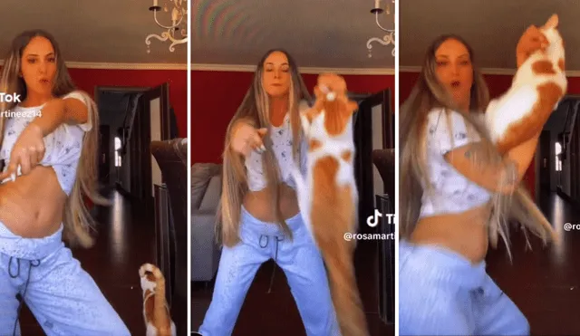 Dueña y michi bailan al ritmo de "El gato volador" y se hacen viral en TikTok. Foto: composición LR/capturas de TikTok