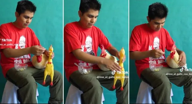 TikTok viral Joven muestra en TikTok peculiar truco para que su gallo coma Así cualquiera