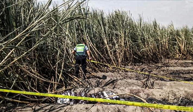 Cuerpo fue hallado en medio de unas plantaciones de cañas de azúcar. Foto: Macronorte