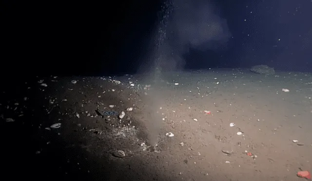 Fuga de líquido caliente en el fondo del océano Pacífico. Foto: captura de Universidad de Washington