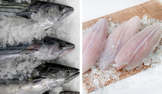 Cómo mantener el sabor fresco de un pescado congelado: Aquí te