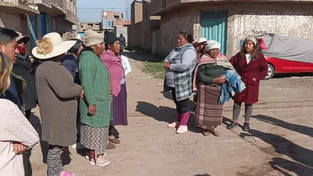 Mascotas caninas habrían sido envenenadas. Foto: composición de Luis Fernando/Puno Noticias