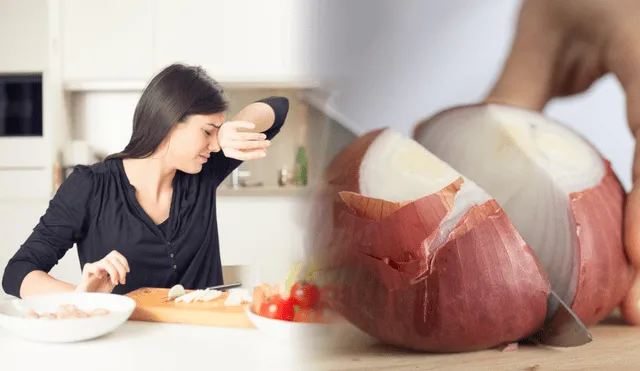 Conoce cómo puedes cortar la cebolla sin lagrimear en el intento. Foto: composición LR/Freepik/Fine dining lovers