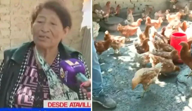 La agraviada señaló que venderá sus gallinas a 20 soles. Foto: capturas de Latina