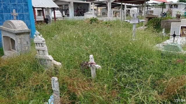 Cementerio luce lleno de maleza. Foto: Diario La Hechicera