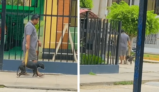 Usuarios se solidarizan con el señor para ayudar al perrito. Foto: composición LR/ captura de TikTok