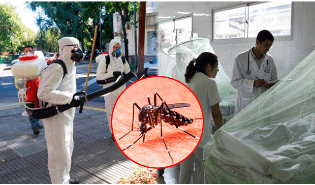 Según el médico Ricardo Teijeiro, los cambios climáticos han acelerado los contagios de dengue. Foto: composición LR / Infobae / Buenos Aires Ciudad