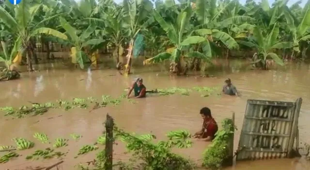 Los agricultores del norte del Perú se sienten olvidados por las autoridades. Foto: captura Dtumbes Noticias - Video: