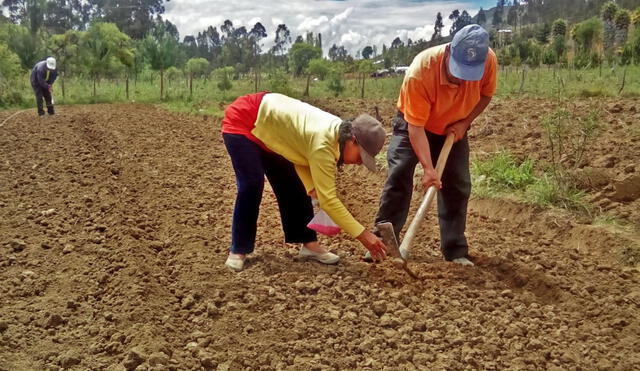 Más de 190.000 beneficiarios ya han cobrado el Bono Sequía. Foto: Andina