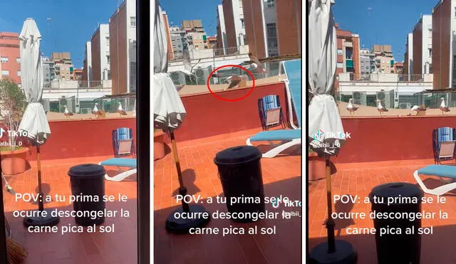 Peculiar escena se volvió viral en TiKTok. Foto: composición LR/capturas de TikTok/@albacastro