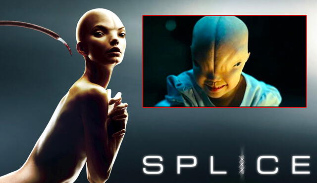 "Splice" se estrenó en 2009 y desató el caos entre fans de la ciencia ficción por su pertubadora trama. Foto: composición LR/Warner Bros