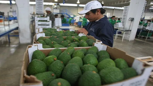 Resiliencia. El empresariado sigue apostando por lograr una economía más sostenible. Foto: La República