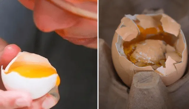 Cómo saber si un huevo es fresco