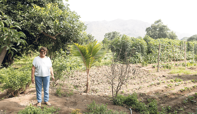 La salud primero. ”En el 2022 entré a la agricultura orgánica. Elegí este tipo de agricultura para comer sano. No vendemos un producto, nosotros vendemos salud”, dice Alicia Gonzáles. Foto: difusión