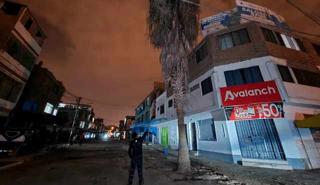 La palmera creció durante dos años hasta alcanzar la altura de un edificio de cinco pisos, aproximadamente. Foto: difusión