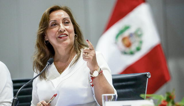 Dina Boluarte asumió como jefa de Estado en diciembre de 2022. Foto: difusión