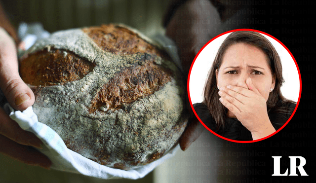 Especialista comenta sobre los peligros de consumir pan con moho. Foto: composición LR