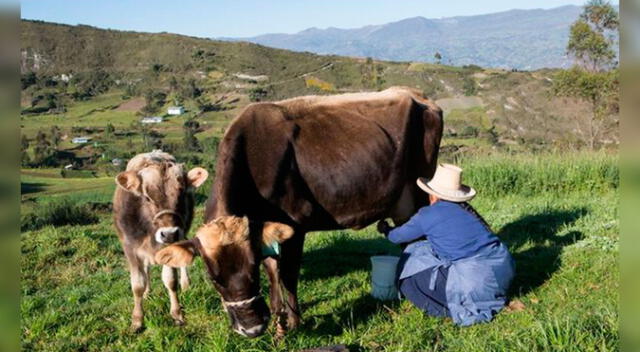 Grupo de trabajo amplió su vigencia hasta el 29 de abril de 2024. Foto: Midagri