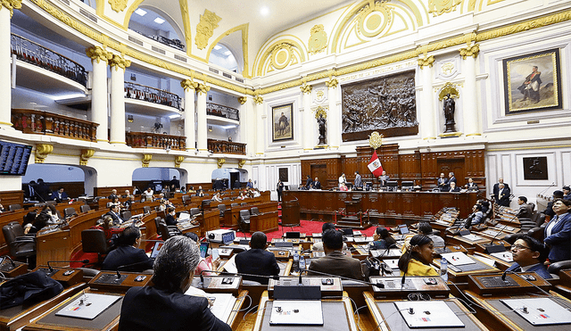 Parlamento. Hay preocupación internacional por el proceso que impulsa el Congreso para la elección del defensor. Foto: difusión