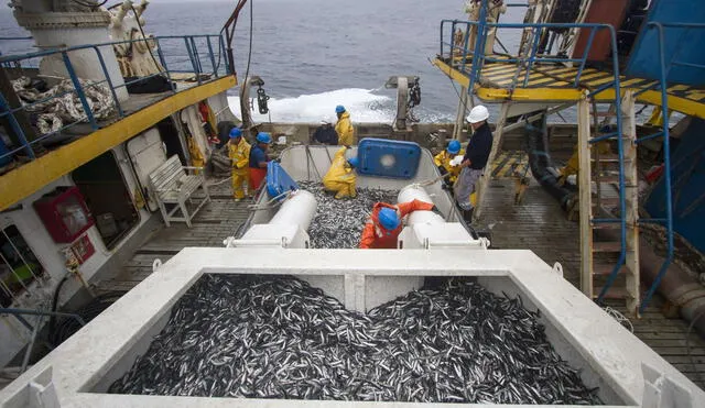 IMARPE realizará el monitoreo de las condiciones oceanográficas y la presencia de las anchovetas en mayo. Foto: Andina