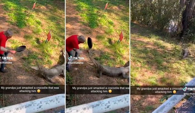 Singular escena que protagonizó el señor se volvió viral en redes sociales. Foto: composición LR/capturas de TikTok/@tacthasme