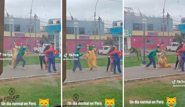 Peculiar escena de ambos personajes de Mario Bros se viralizó en redes. Foto: composición LR/capturas/@chmm3108/TikTok