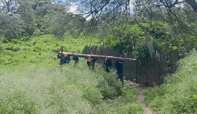 Trabajadores caminan con poste por lugar agreste. Foto: Enosa