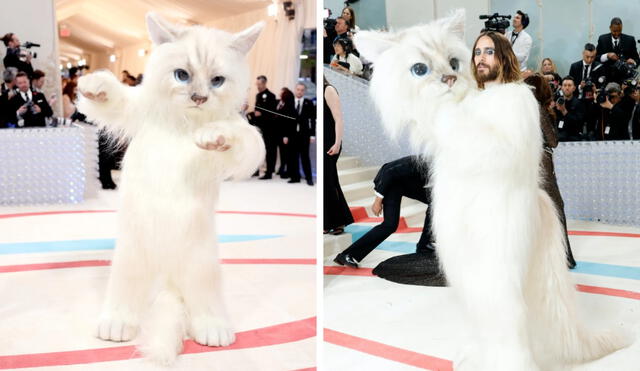 Jared Leto se vistió de gato en la MET Gala que se llevó a cabo el pasado 1 de mayo. Foto: composición LR/Vogue/GQ