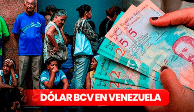 Precio del dólar BCV hoy, viernes 5 de mayo de 2023, en Venezuela. Foto: composición LR