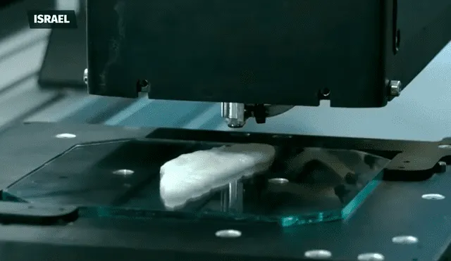 Una empresa israelí logró crear el primer filete de pescado en una impresora 3D.  Foto: captura/Milenio