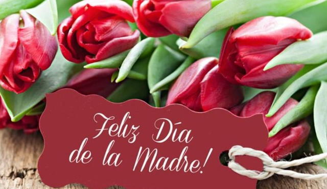 El próximo 14 de mayo se celebra el Día de la Madre en Perú. Foto: RedGlo