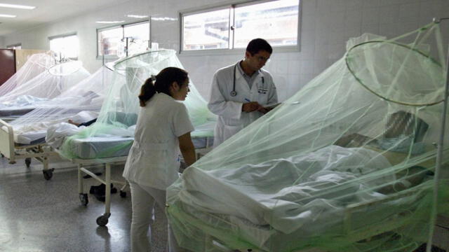 Se reporta gran número de pacientes internados por el dengue en hospitales.  Foto: La República