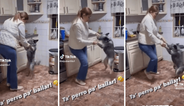 Perrito se robó las miradas de miles en TikTok. Foto: composición LR/ TikTok/ @elpubertito1