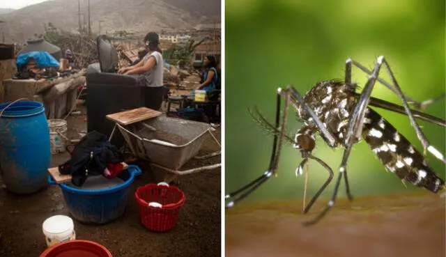 El Minsa indicó que existen más de 69.000 casos de dengue en el Perú. Foto: difusión/composición LR