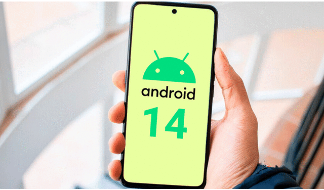 Los primeros teléfonos en probar Android 14 serán los Google Pixel. Foto: Mundo Xiaomi