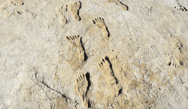 Científicos han hallado evidencia de que la primera migración a América ocurrió entre 19.000 y 26.000 años atrás. Foto: referencial / National Park Service