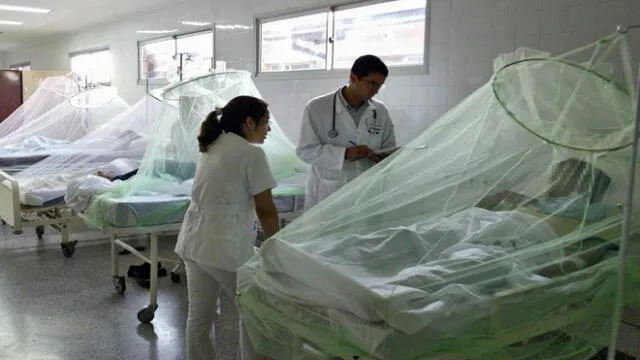 Se reporta gran número de pacientes hospitalizados por el dengue en hospitales.  Foto: La República