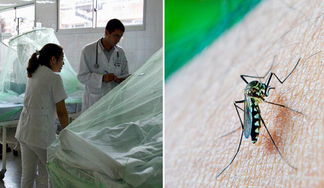Minsa declaró en emergencia a 20 regiones del Perú por dengue. Foto: composición LR / Andina / Pixabay