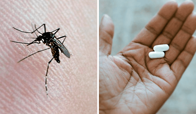 ¿Tienes síntomas de dengue, pero no puedes tomar paracetamol? Un especialista reveló otra opción para tratar los síntomas. Foto: composición LR/Andina/BBC
