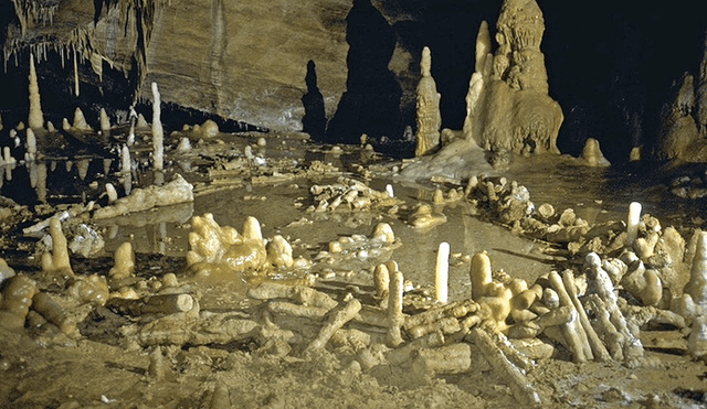 Construcción neandertal en la cueva de Bruniquel, en Francia. Foto: Nature / Jaubert et. al (2016)