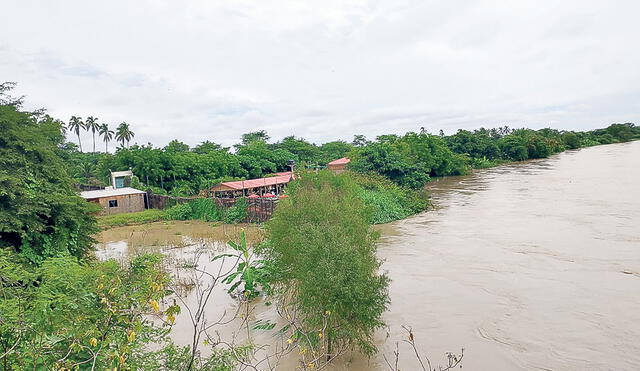 Evaluarán daños en los cultivos a consecuencia de las lluvias. Foto: La República