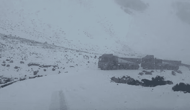Intensa nieve en Caylloma. Foto: difusión