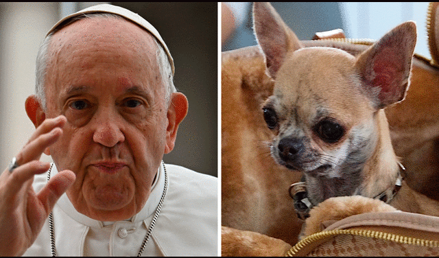 Papa Francisco volvió a criticar a las personas que tratan a sus mascotas como a sus primogénitos. Foto: composición LR/EFE